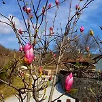 Karyon Appartamento *