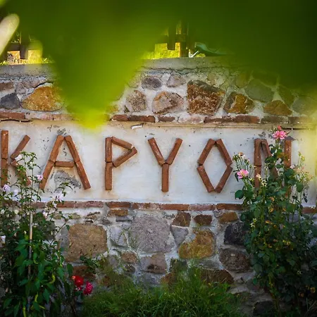 Karyon *