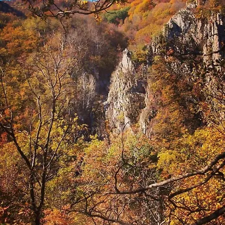 Apartment Karyon Kariofiton