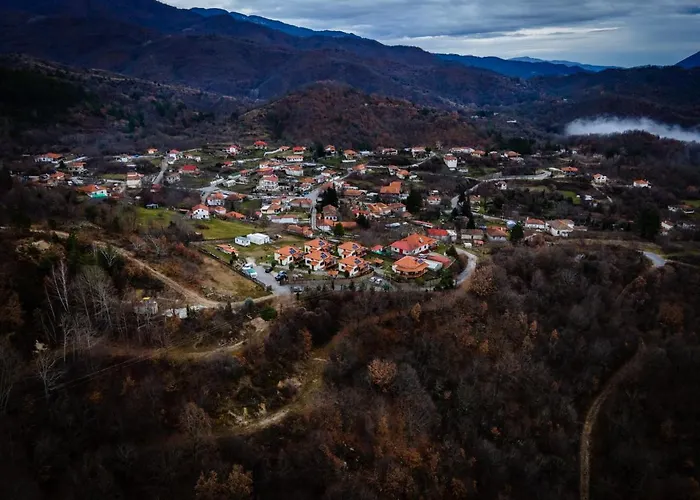 Karyon * Καρυόφυτο