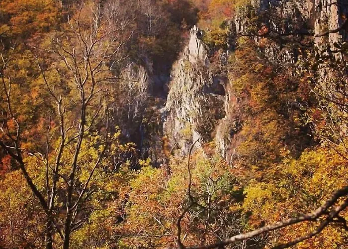 Διαμέρισμα Karyon Καρυόφυτο