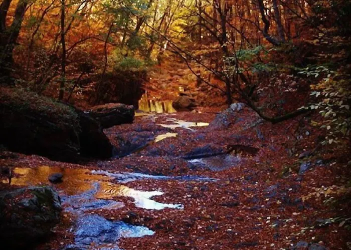 Karyon Διαμέρισμα