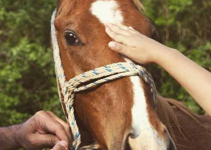 Διαμέρισμα Karyon Καρυόφυτο